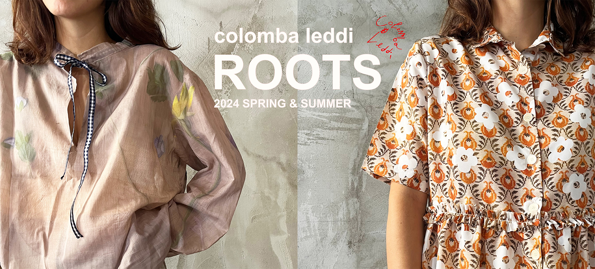 colomba leddi 